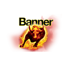 Batterie BANNER